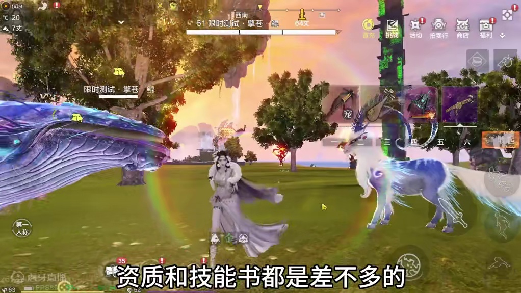 同资质等级水平 鲲鲲有可能战胜这五只进化宠吗？熊猫/葱聋/貔貅 #妄想山海 #体验服 #五万年鲲鲲 