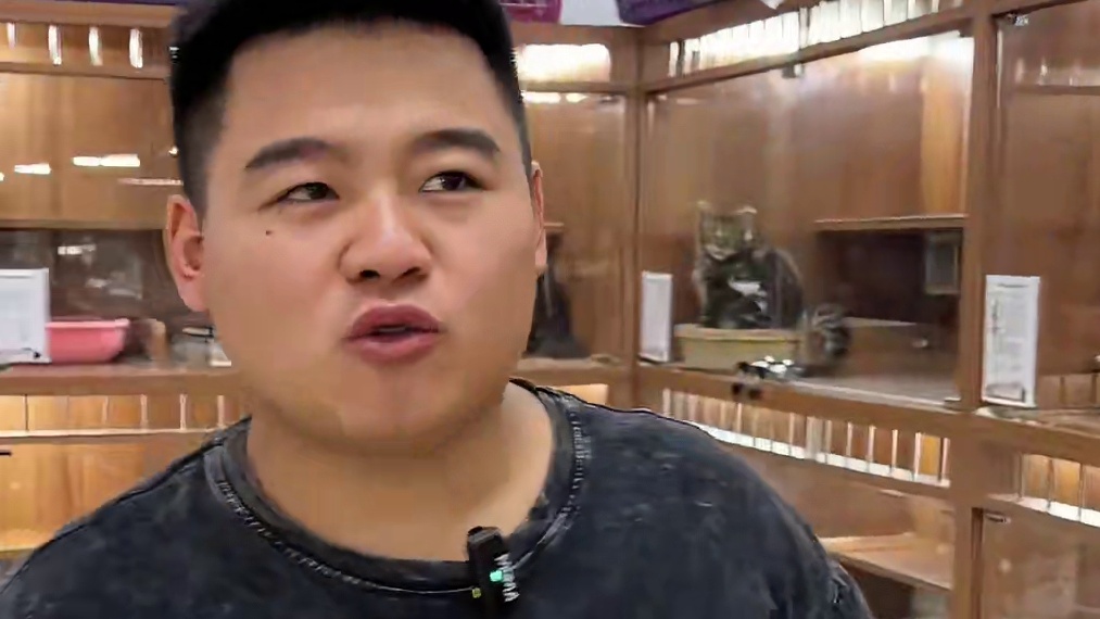 夏天能收到这么好看的精品小猫属实是不容易了！#壮实说猫 #渐层猫