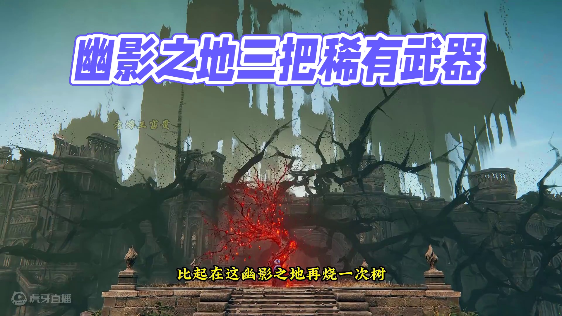 幽影之地DLC三把稀有武器，变换形态的石鞘剑，火焰骑士大剑 #艾尔登法环DLC #steam游戏 #