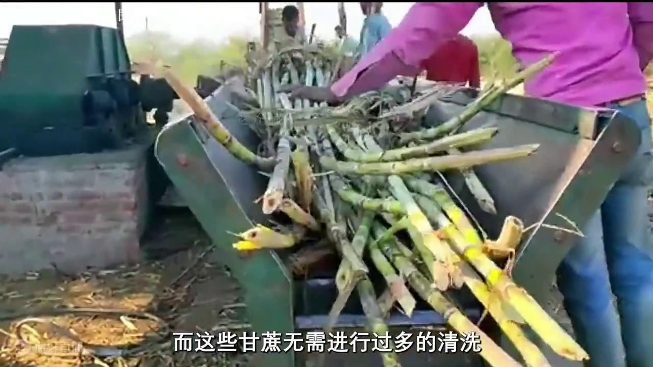 看完甘蔗汁的加工过程，你还会喜欢喝吗？#甘蔗汁 #制作过程 #科普 #涨知识 #饮料