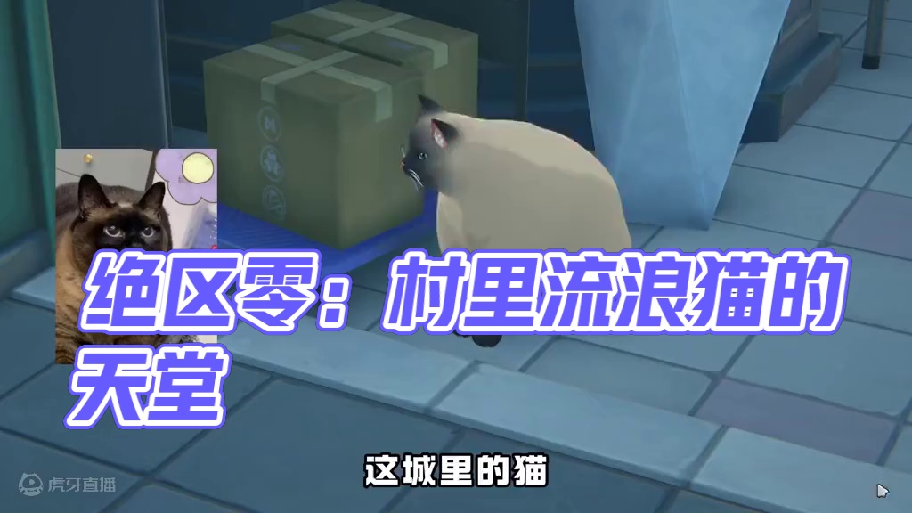 城里的猫吃的就是好啊！ #绝区零 #绝区零公测  #绝区零艾莲#绝区零好city #游戏内容风向标
