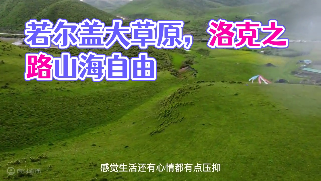 若尔盖草原—洛克之路，人就应该活在没有天花板的地方！#若尔盖草原 #洛克之路 #保持热爱奔赴山海