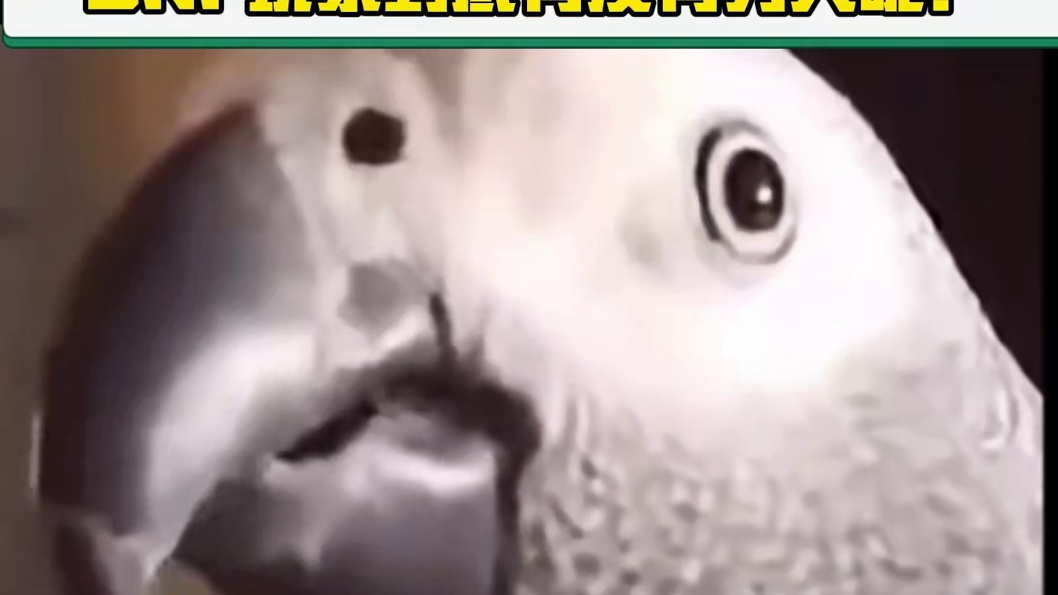 DNF玩家到底有没有穷人呢？#DNF手游 #罗特斯团本 #DNF手游新职业剑魂阿修罗