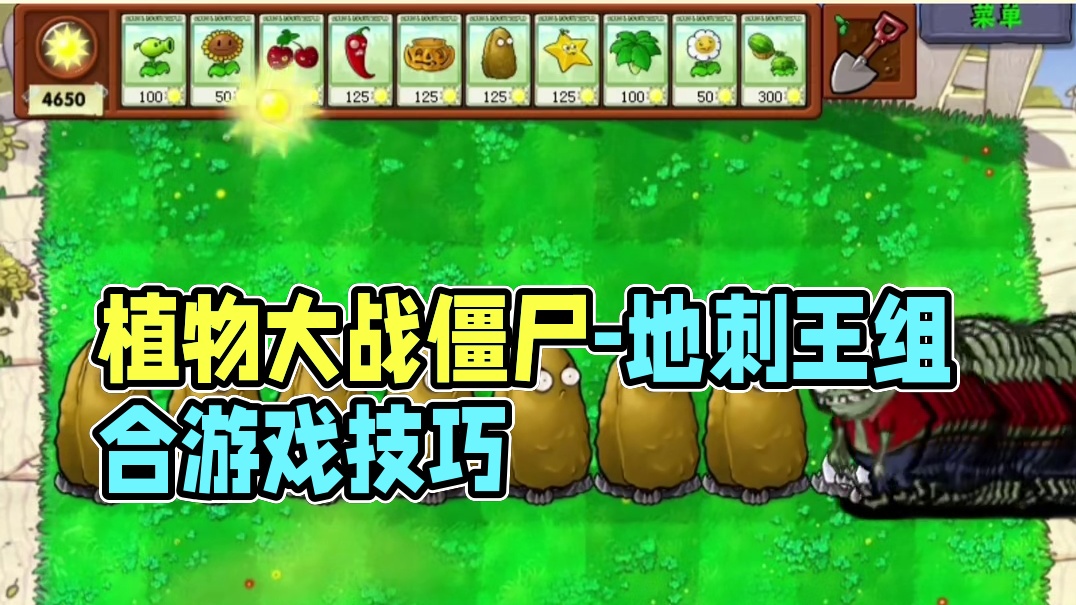 104. 植物大战僵尸 -地刺王搭配其他植物大战100只强化小鬼