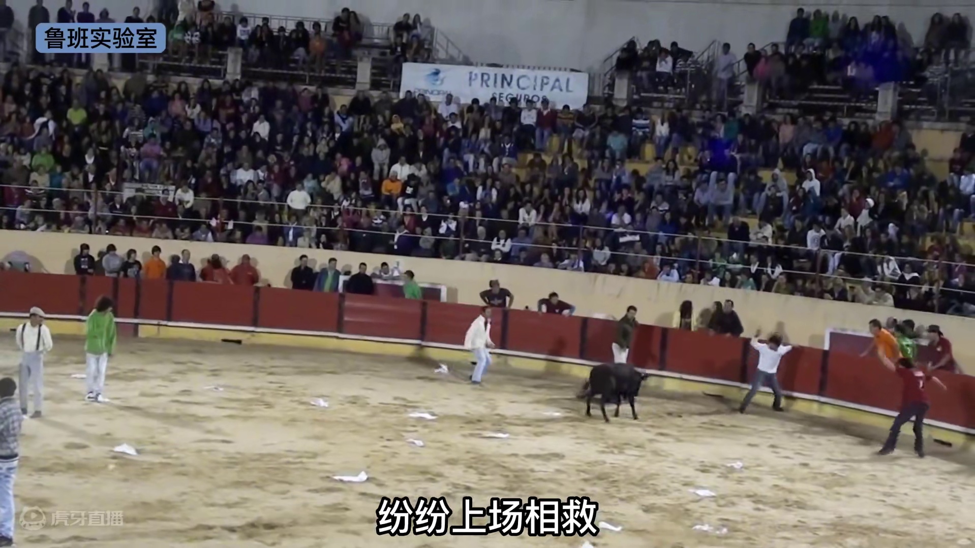 赌命的斗牛挑战，面对冲撞谁能站在场上坚持到最后，就能赢得奖金