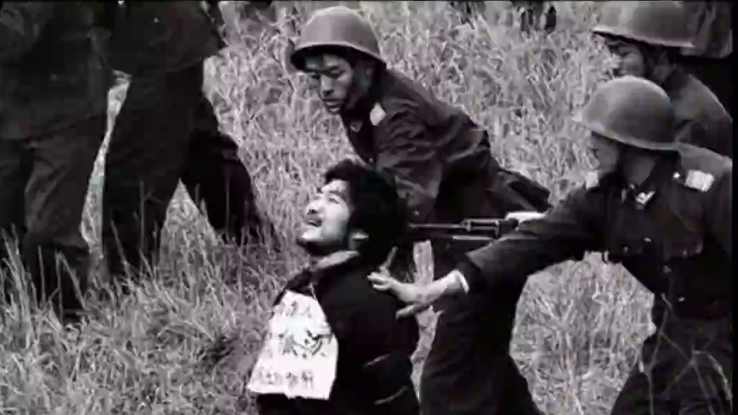 西北第一悍匪:魏振海