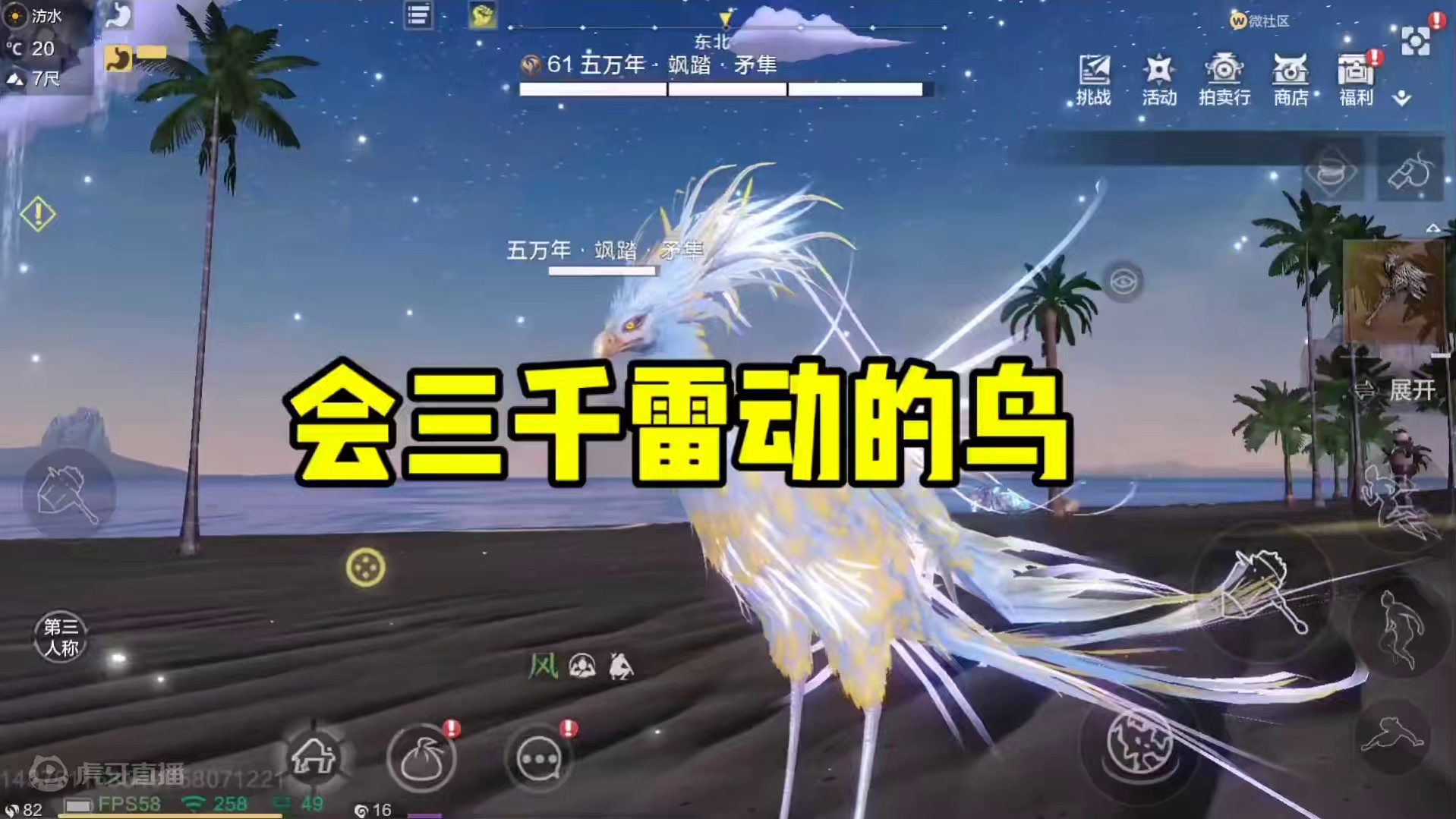 你们见过会三千雷动的鸟吗，巧了，五万年矛隼就会，习得高阶身法斗技三千雷动，太帅啦 #妄想山海 #妄想