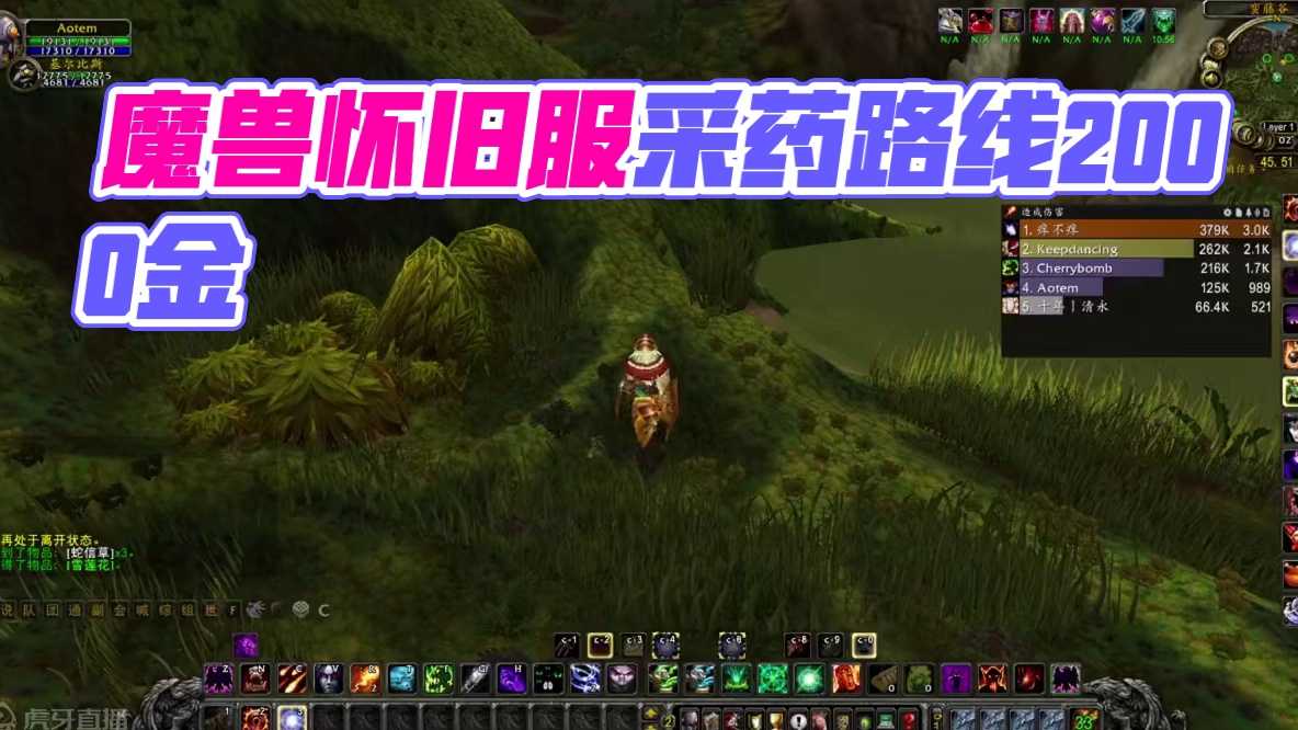 魔兽世界怀旧服wlk采药精准路线每小时最高2000金 #魔兽打金教程 #日入万金 #我们比你们多一个