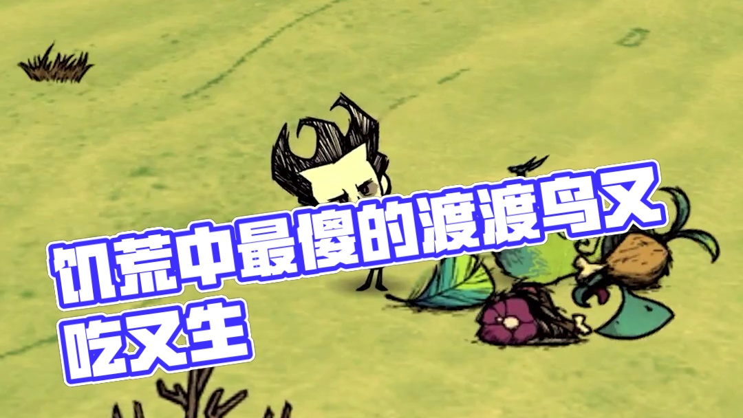 饥荒单机版：渡渡鸟是不是饥荒中最傻的鸟？ #饥荒
