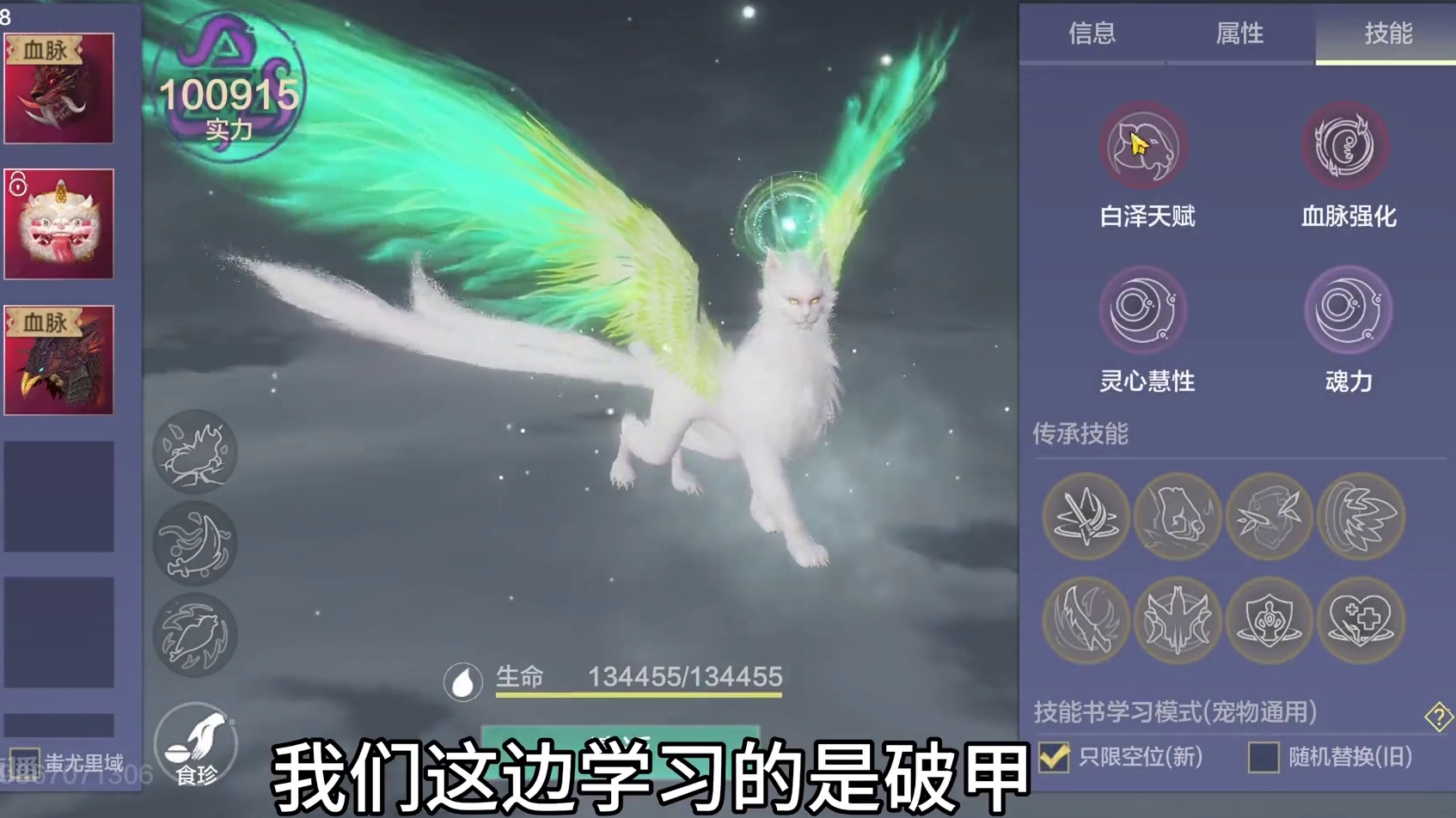 新一届的斗兽王者T0级斗兽宠白泽VS10万战力熊猫/貔貅/霸下#妄想山海 #妄想山海鲲鲲福报 #妄想