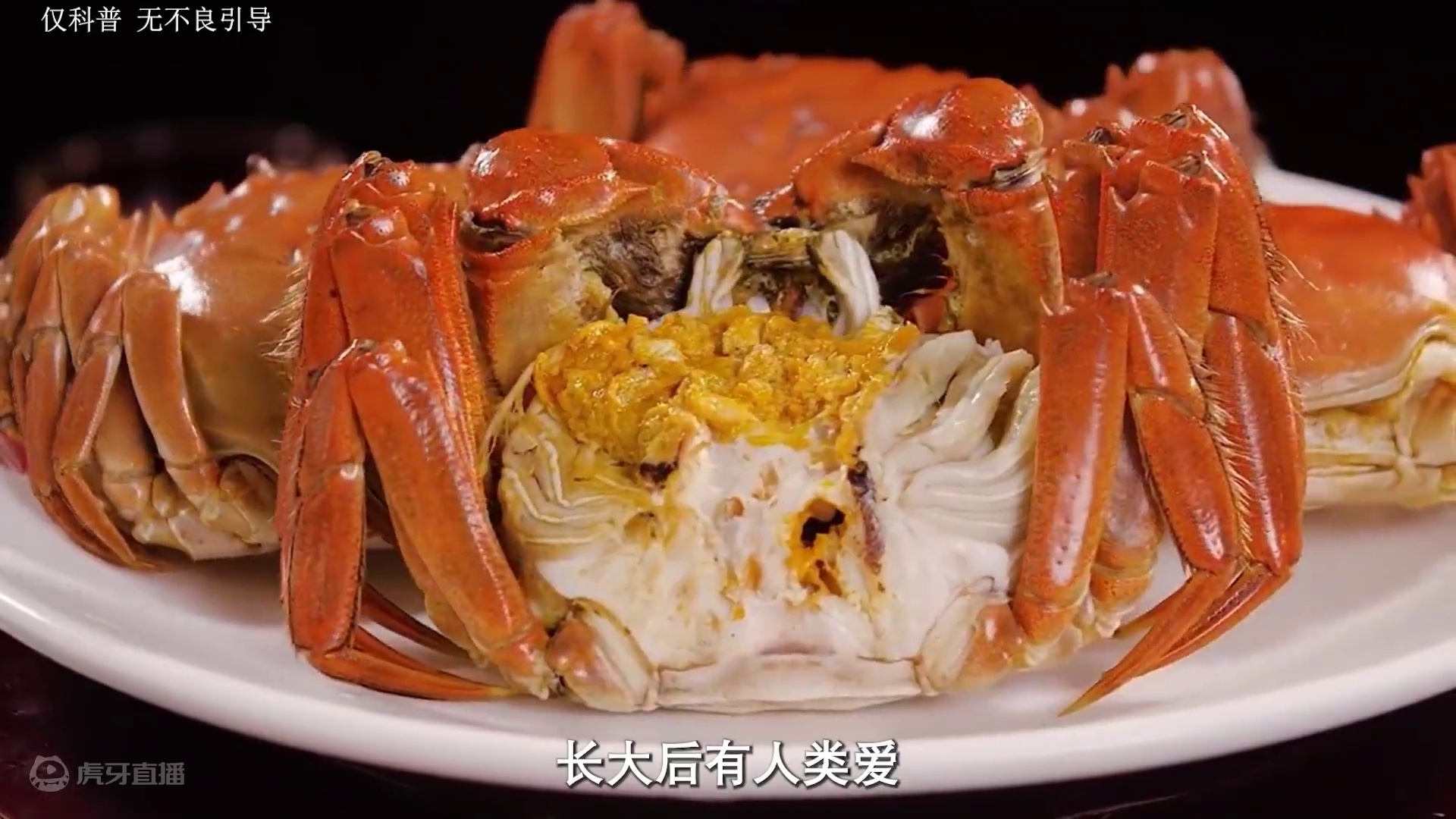 你知道蟹棒是怎么制作出来的吗，那么其中究竟有没有蟹肉呢#手撕蟹柳 #盐津铺子 #蟹棒 #科普 #制作