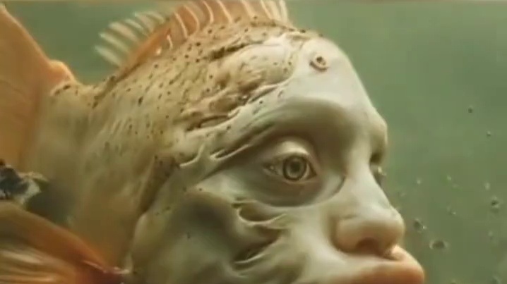 海洋鱼你知多少 #冷知识 #海洋鱼类科普