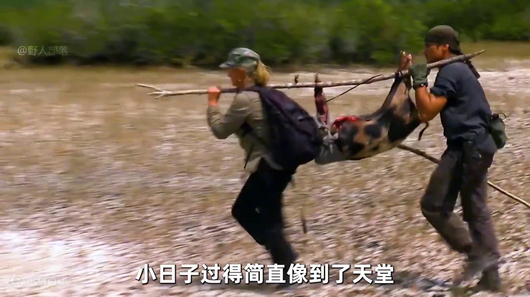 求生夫妻档麦克夫妇挑战荒岛生存，抓到一头几十斤野猪，吃烤肉 #荒野求生 #野外生存 #户外