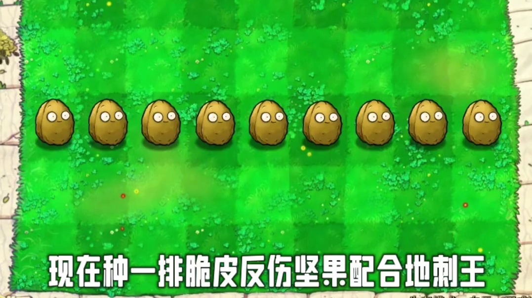 113. 植物大战僵尸 -双重反伤植物大战僵尸