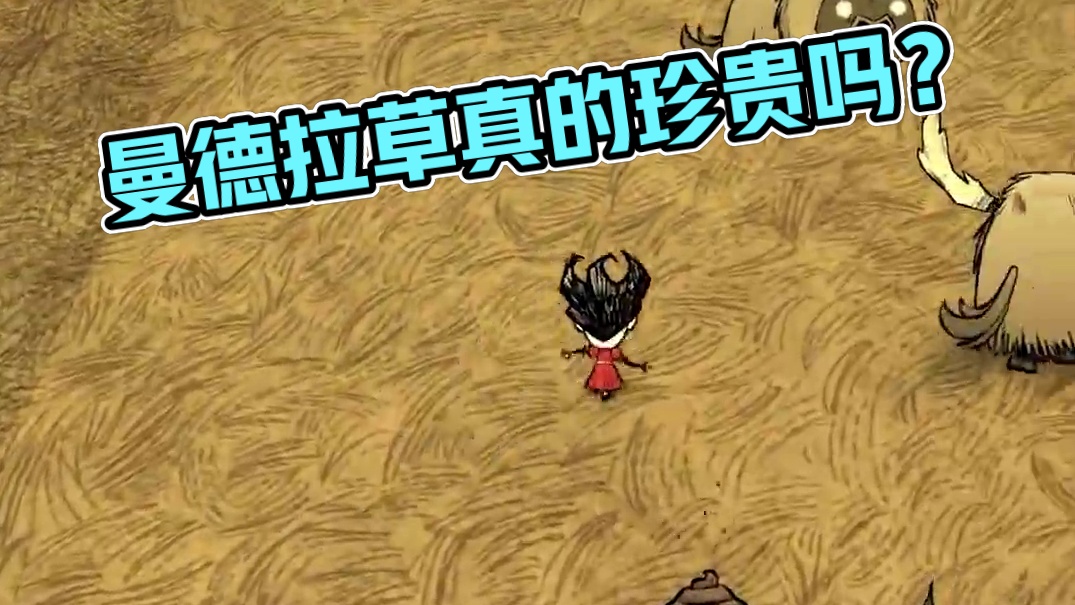 饥荒联机版： 曼德拉草真的很重要吗？ #饥荒