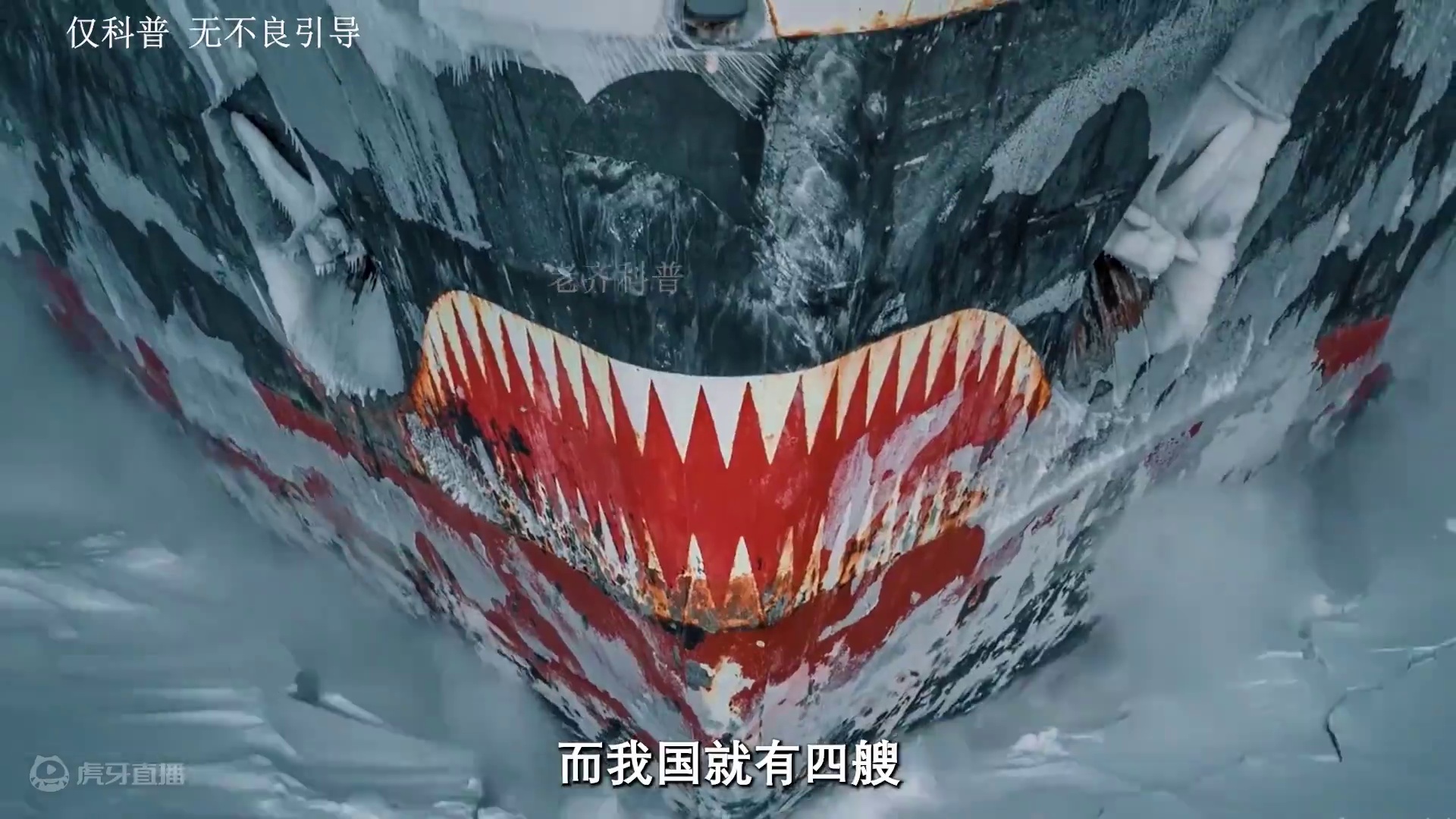 “未来的粮仓”南极磷虾#磷虾 #科普 #捕捞 #海洋生物 #南极