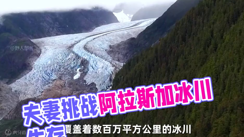 求生夫妻档麦克夫妇挑战阿拉斯加，遇到鲑鱼产卵季，吃着烤鱼大餐 #荒野求生 #野外生存 #户外