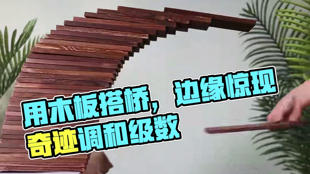 当知识照进现实，用木板搭桥居然搭出来了调和数列、调和级数…#物理启蒙 #数学思维 #调和级数