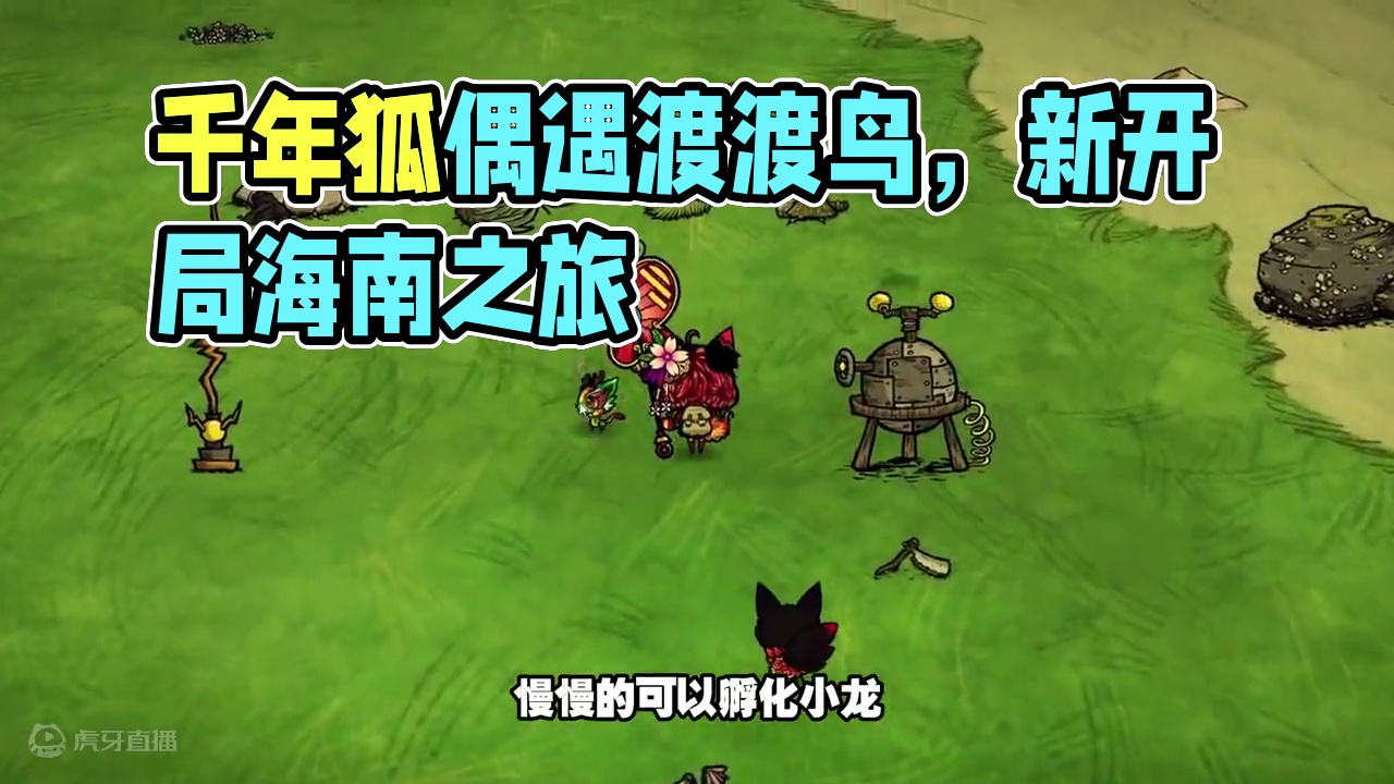 饥荒单机版：千年狐开局偶遇渡渡鸟 #饥荒