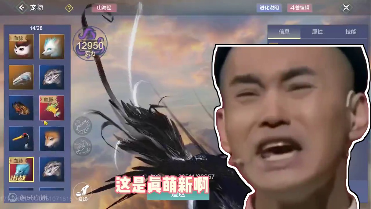 萌新直氪500就为了买两个野宠，不会收勾玉纯直氪，真萌新啊 #妄想山海 #妄想山海鲲鲲福报 #游戏日