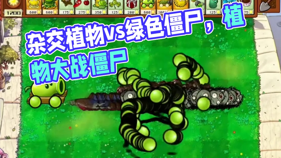 13. 杂交植物大战绿色路障僵尸
