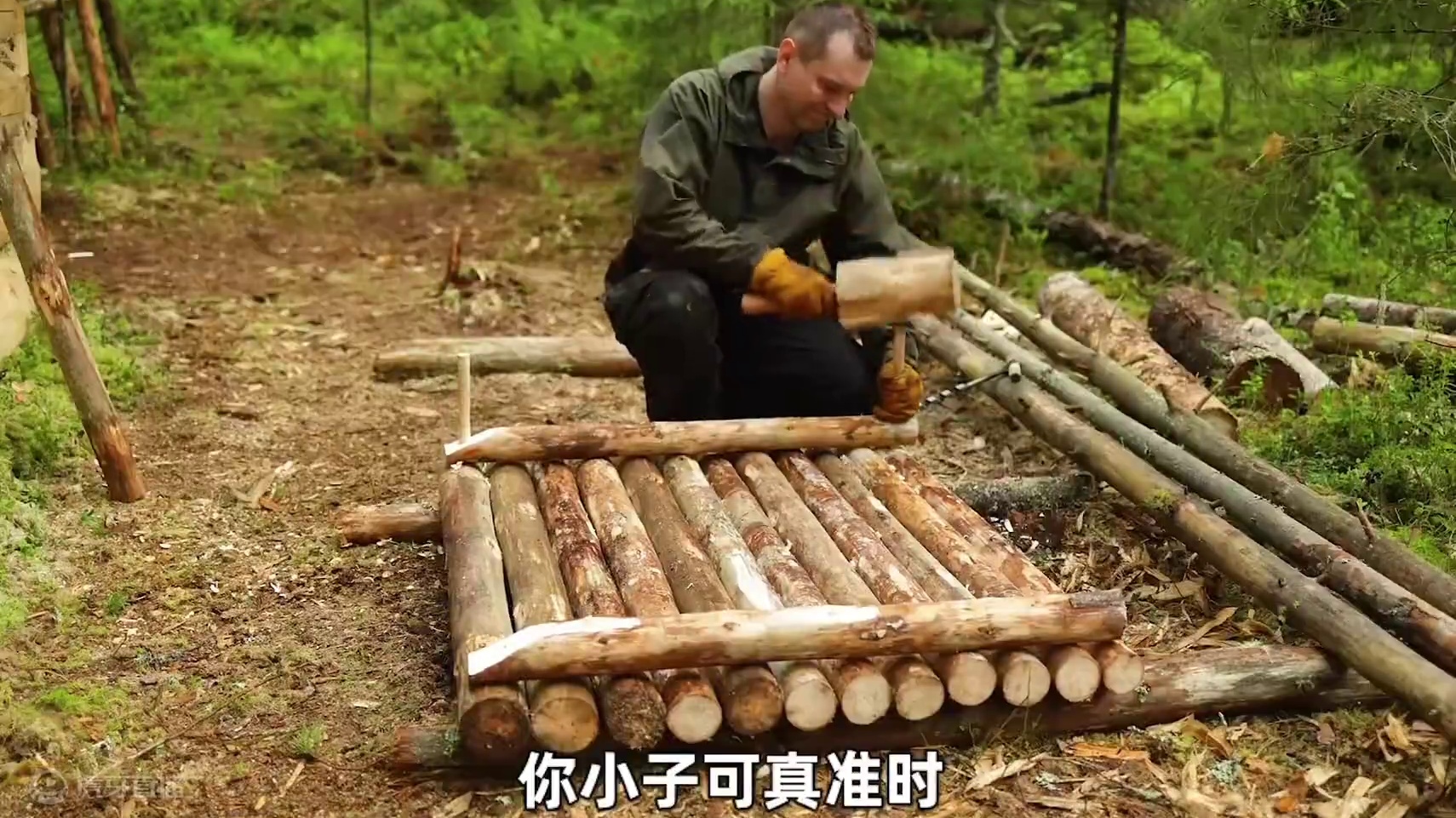 男人在丛林独自打造实木小屋#野外生活 #野外建造 #庇护所建造