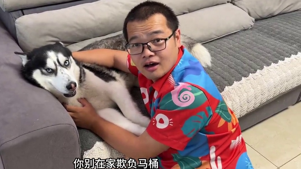 男主趁狗狗靠山不在家暴揍狗狗，当靠山回来后，大家都憋住别笑 #二哈 #哈士奇 #萌宠出道计划 #养狗