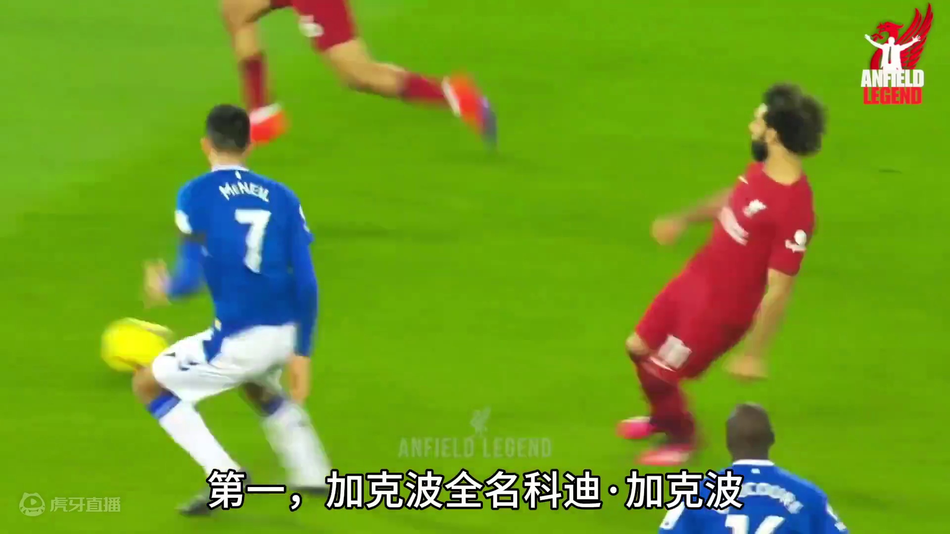 欧洲杯人物志之“反向罗本”加克波：荷兰锋线大腿！ #足球的魅力 #遇见足球 #dou来足球季 #每日