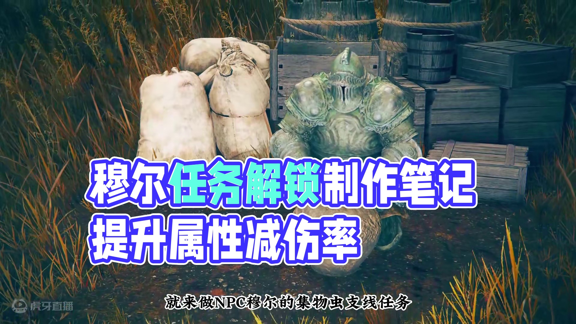 NPC穆尔集物虫支线任务，解锁7本集物虫制作笔记，提高属性减伤率 #艾尔登法环DLC #steam游