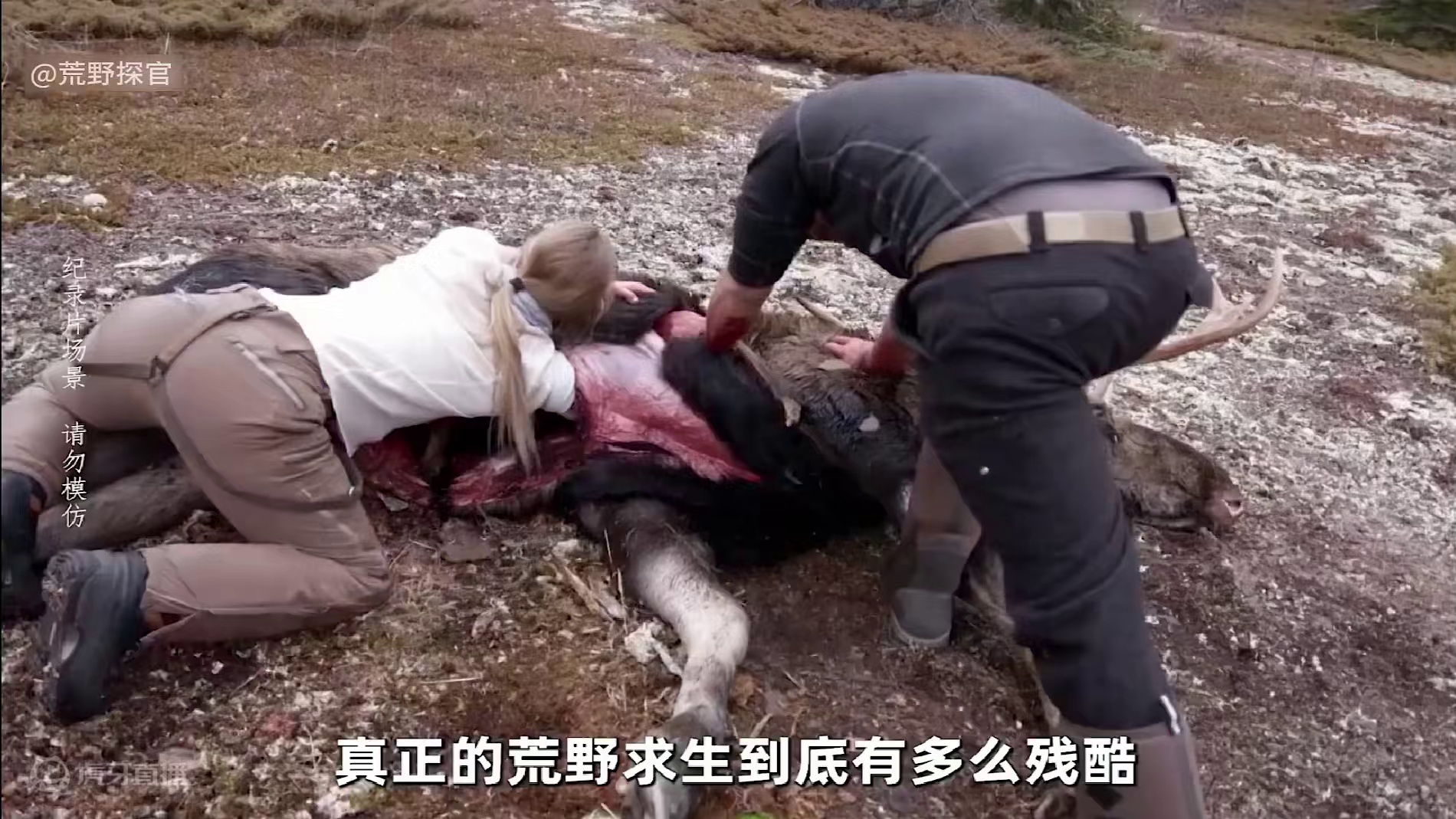 荒野独居丹麦版第六季 这才是我见过最真实的荒野独居 没有花里呼哨的求生技巧 也没有种类丰富的满汉全席