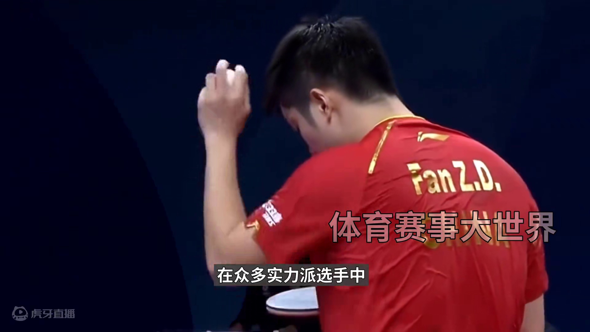 王楚欣樊振东谁将笑傲巴黎？谁是国乒的未来#国乒 #王楚钦 #樊振东 #巴黎奥运会 #花落谁家 #巅峰