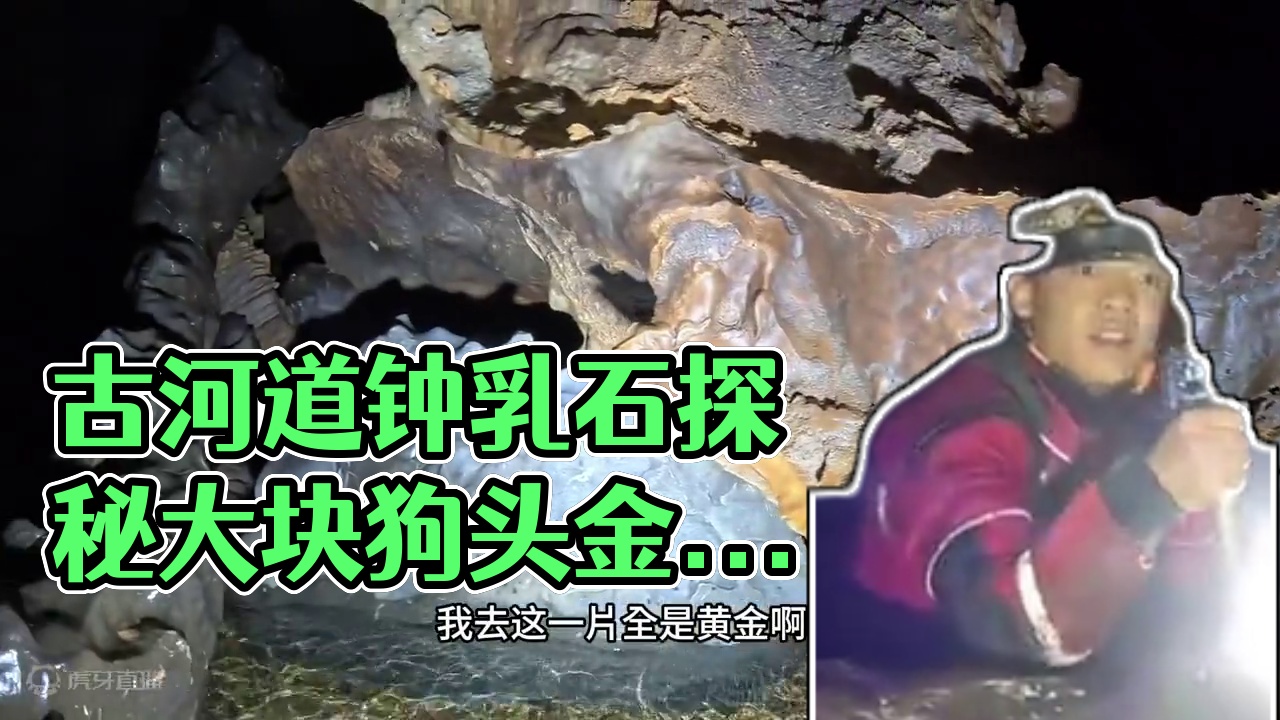 大块的狗头金流淌在古河道里你们见过吗？ #山洞到底藏着什么 #洞穴探险 #钟乳石 #大自然的鬼斧神工