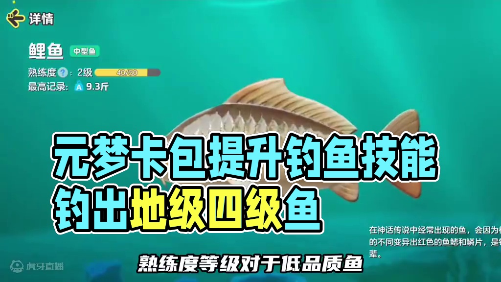 元梦钓鱼卡包有什么用，钓鱼双倍提升的是什么 #元梦捕鱼欢乐多 #元梦之星 #游戏内容风向标 #畅玩元
