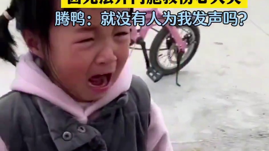 鸭子：没人关心一下我吗？？？？