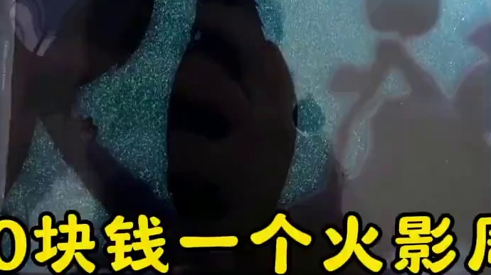 鼬的周边1000块一个，我说咋抢不到呢，原来黄牛在囤 #火影忍者手游 #泳装鼬