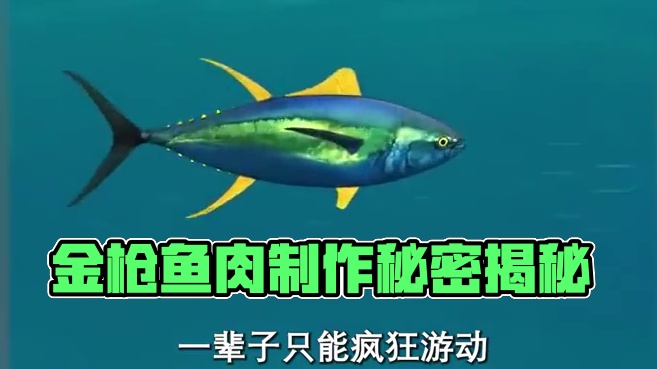 真没想到金枪鱼肉还可以这样制作#金枪鱼 #罐头 #科普 #涨知识