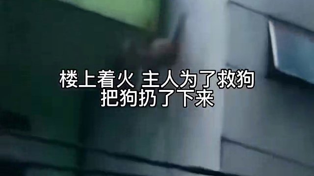 主人，那么高碰我下来，我来找你了！