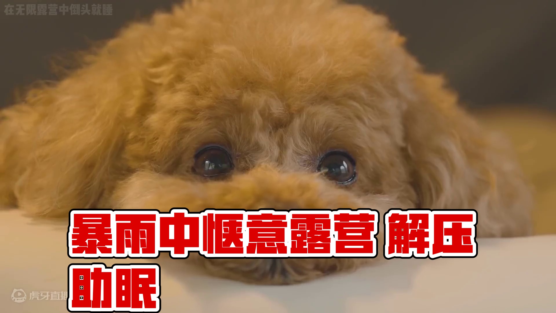 【无限露营】暴雨中惬意露营 #露营 #雨中露营 #助眠 #解压