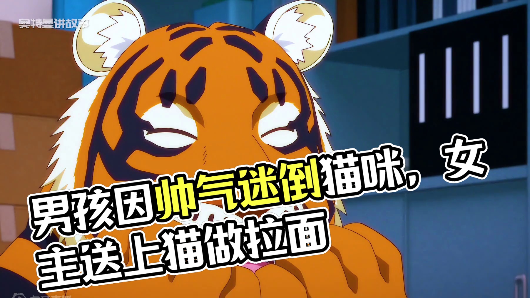 男孩因为长得太美，迷倒一群小猫咪 #动漫 #二次元