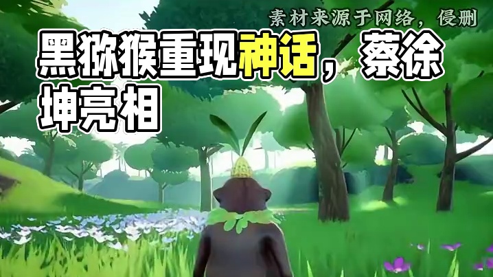 原来黑神话是米家的？？ #黑神话悟空 #原神 #蔡徐坤