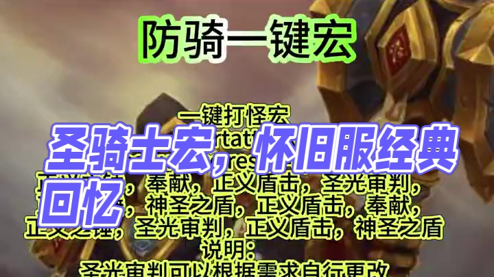 圣骑士宏 防骑一键宏 #魔兽世界 #魔兽 #魔兽世界怀旧服 #魔兽世界巫妖王 #魔兽宏