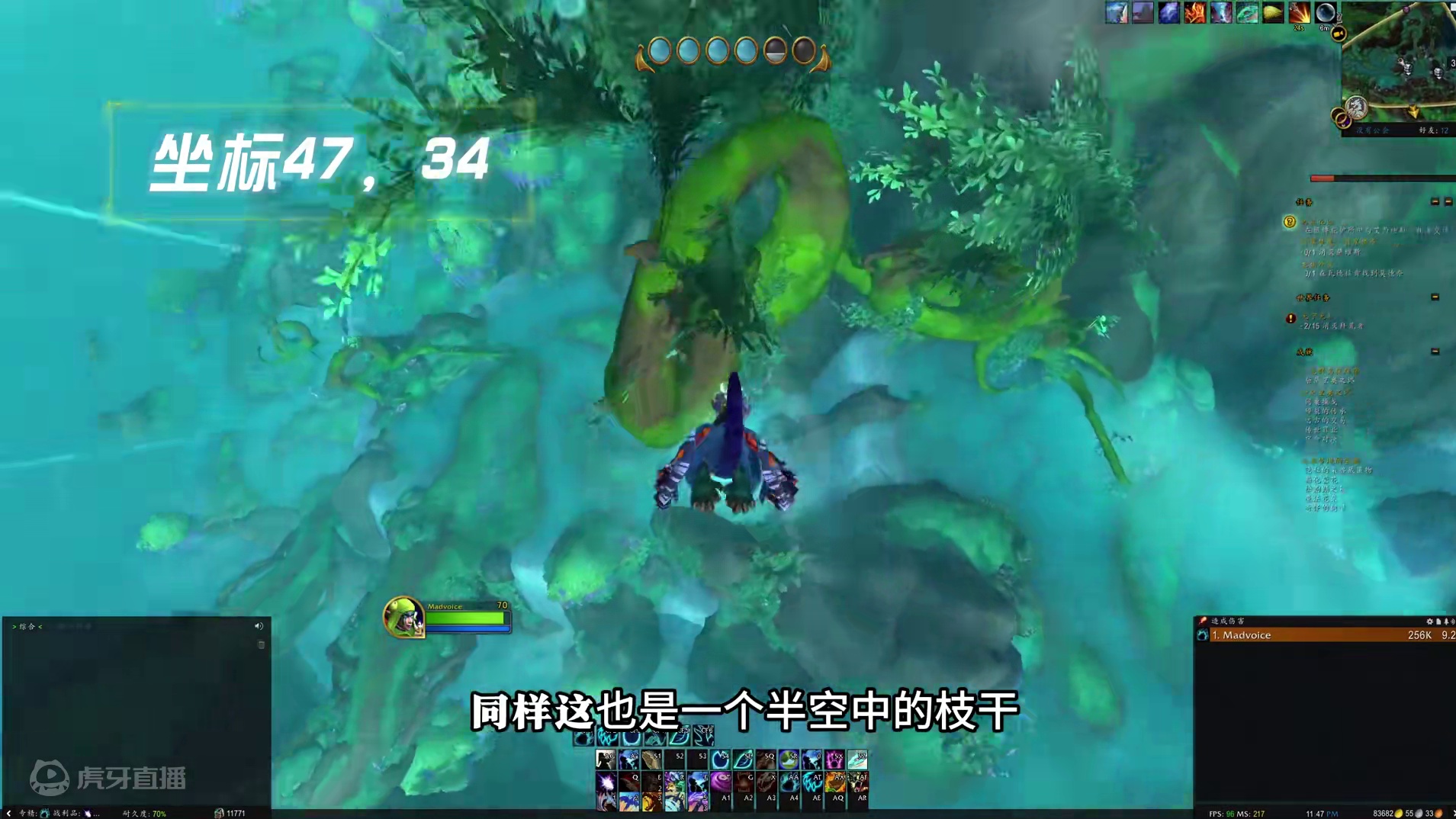 “带特效的帽子”穿着它居然有小鸟会为此停留？翡翠梦境10大宝 成就翡翠梦境的宝藏，寻找藏匿在森林里的