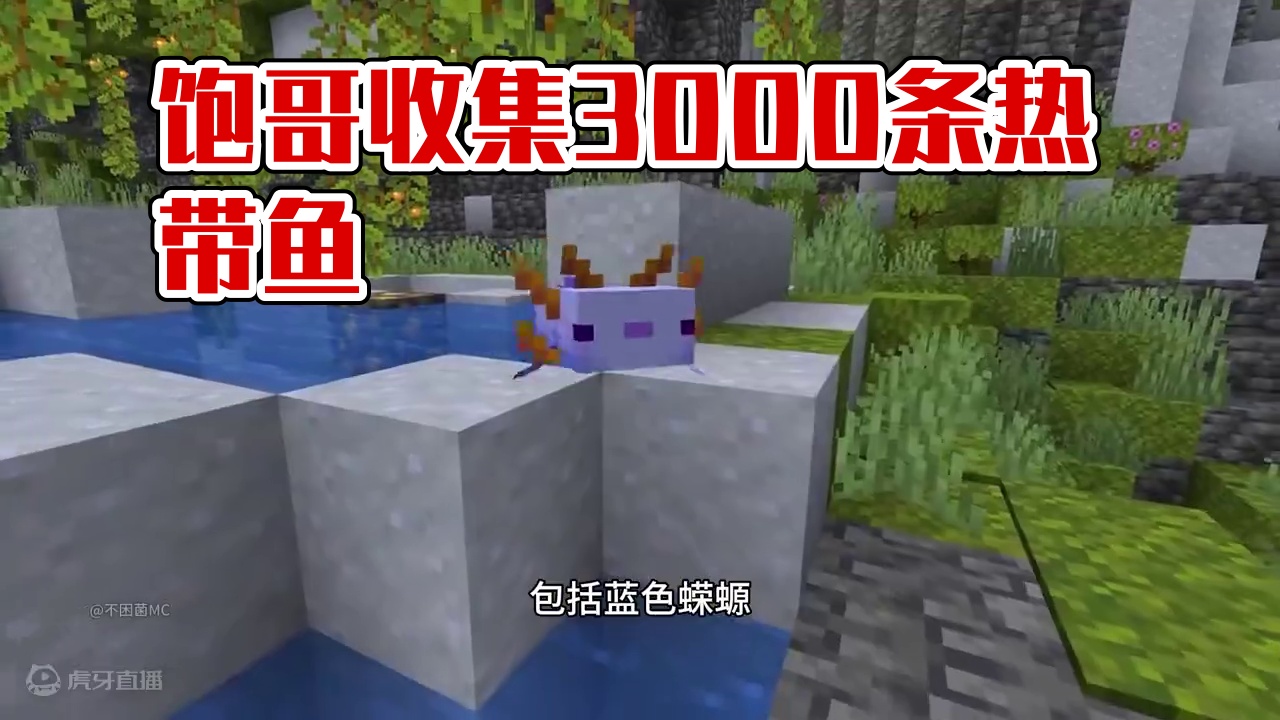 我的世界：饱哥全收集3000条热带鱼！！！ #我的世界 #MC #我的世界饱哥