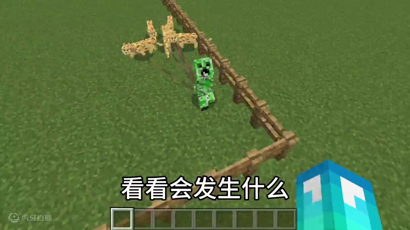 我的世界：这才是豹猫的正确使用方法！#我的世界 #mc不灭 #mc
