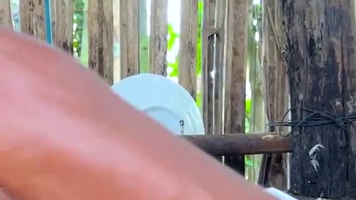 竹筒黄鳝鱼 #我的乡村生活 #农村生活 #农村美食 #原始美味