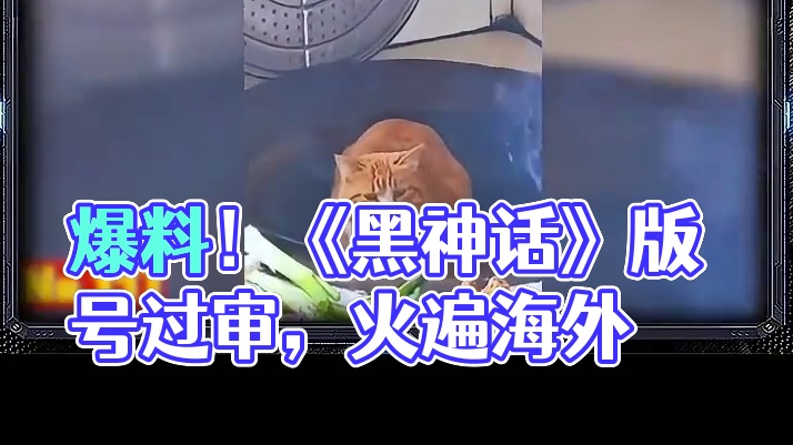 爆料不断！还没上线 《黑神话》就征服了老外？【3】 #黑神话悟空 #steam游戏