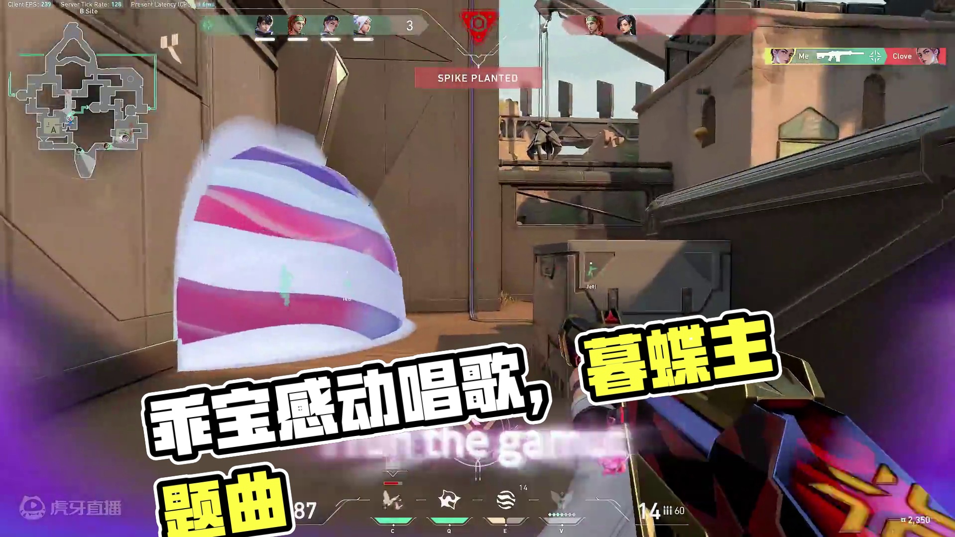 乖宝听歌<2worlds-Valorant暮蝶主题曲> #无畏契约 #瓦罗兰特 #无畏契约大蝶来了