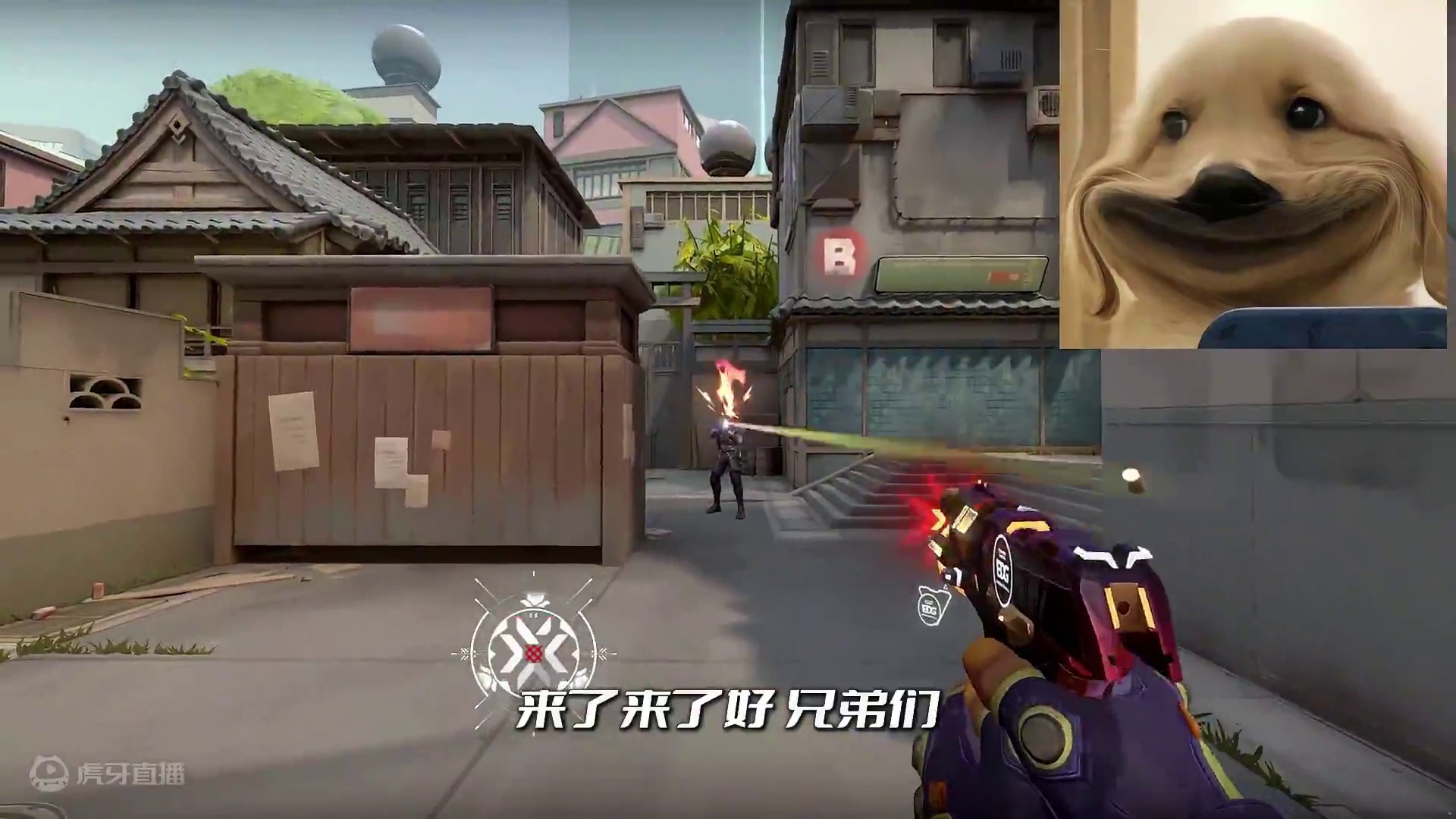 最真实的CN标配选购指南 无粉丝滤镜 完全不考虑粉丝滤镜 你最喜欢那个CN标配那？
视频里没有提挂饰