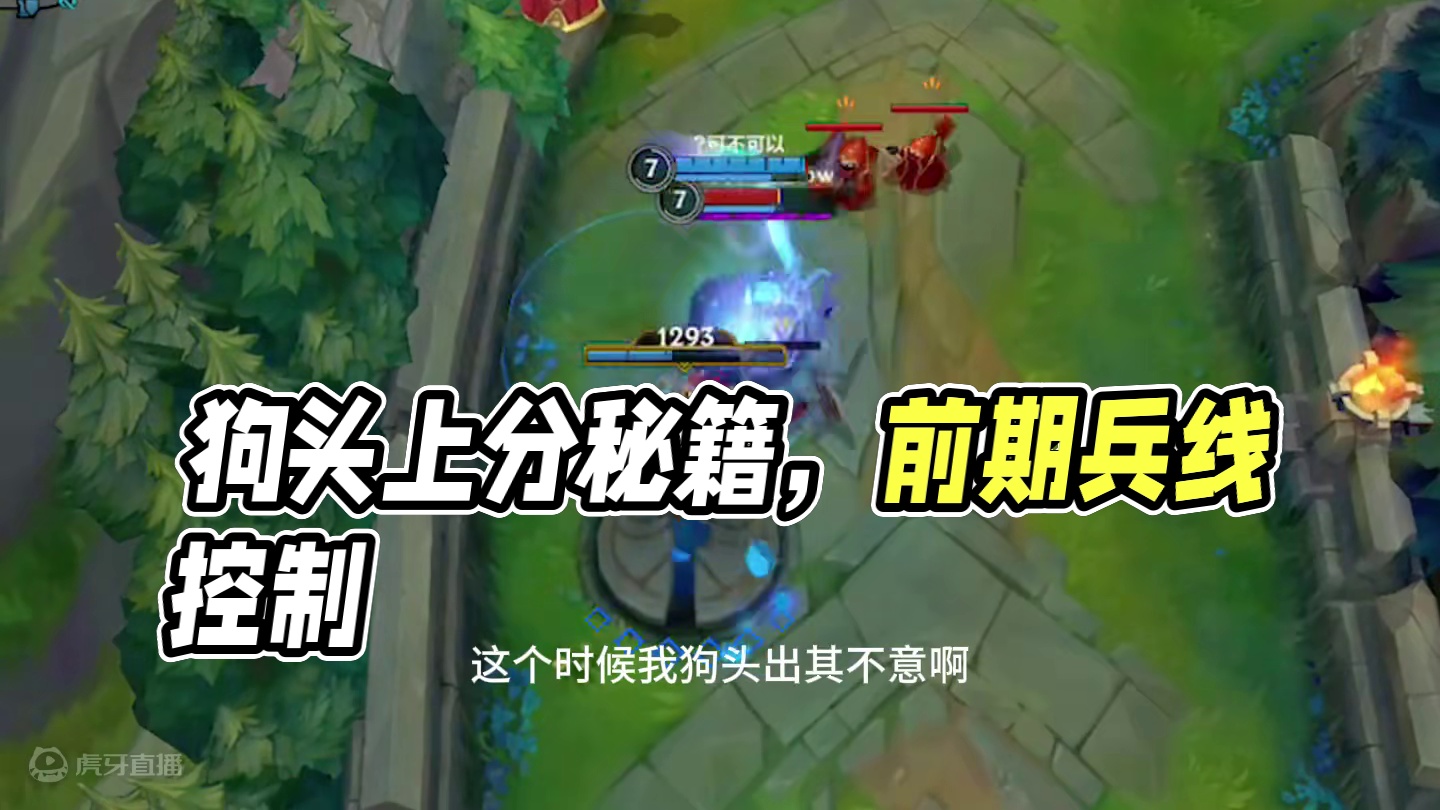 单带流狗头才是上分密码！本期视频详细解析！ #狗头 #lolm新赛季上分英雄 #lol手游进化海克斯