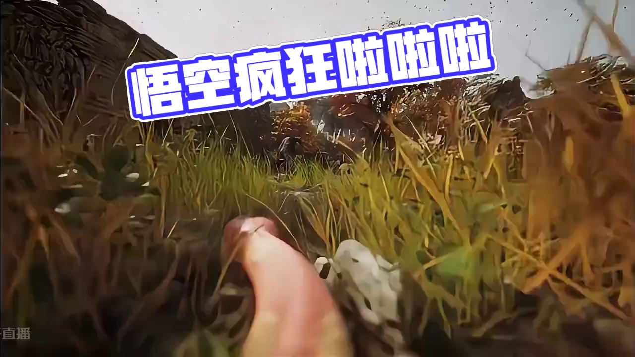 黑神话悟空这波实机测完，提前开茅台？ #黑神话悟空 #天命人召集令